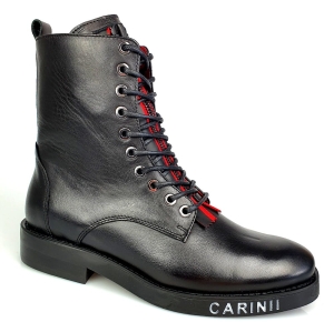 cariniiB5752-1.jpg