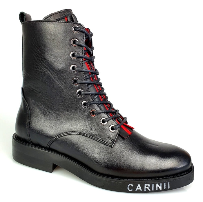 cariniiB5752-1.jpg