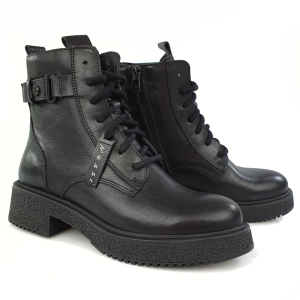 nessi23540-04 (1).png