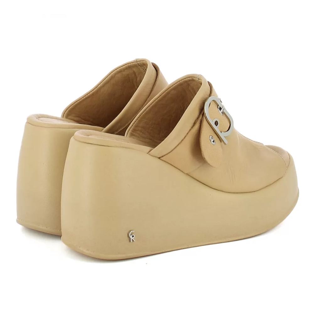cariniiB6442-13 (1).png