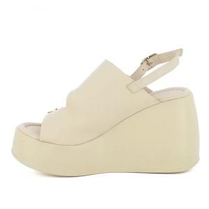 cariniiB6441-13 (1).png