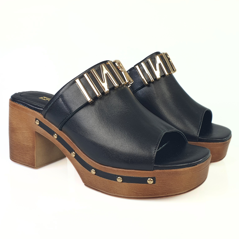 cariniiB9446-01 (1).png